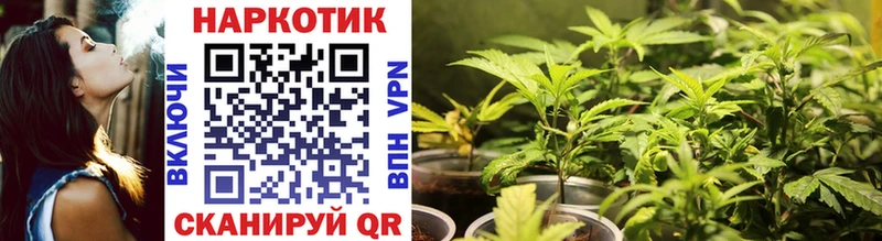 Все наркотики Питкяранта АМФ  Экстази  Каннабис  Кокаин  А ПВП  МЕФ 