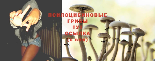 прущие грибы Абинск
