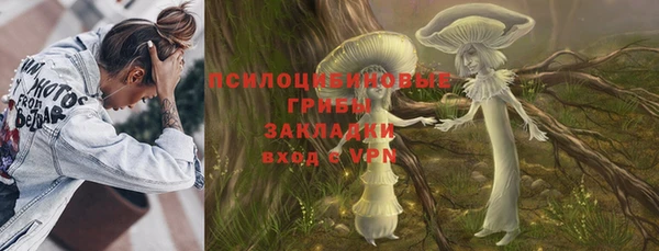 прущая мука Абаза