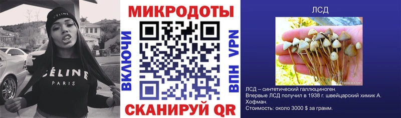 наркошоп  Питкяранта  Галлюциногенные грибы прущие грибы 